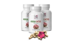 Hoodia Appetite Suppressant - Hoodia Weight Loss Pill Review