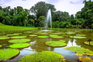 10 The Most Contemporary and Instagrammable Tourist Attractions in Bogor