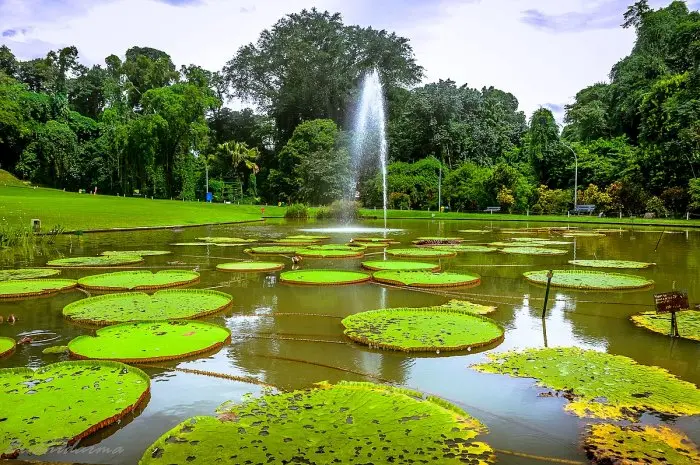 10 The Most Contemporary and Instagrammable Tourist Attractions in Bogor